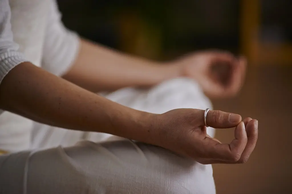 Practitioners moving through a guided asana sequence at Shri Kalyanika, Dol Ashram