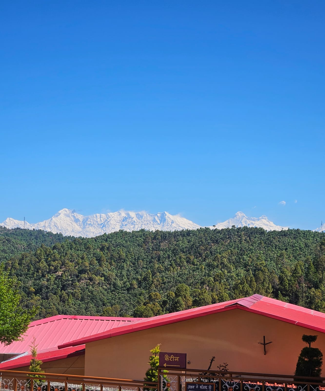Snow-capped Himalayan peaks rising above pine-covered ridges seen from the ashram grounds