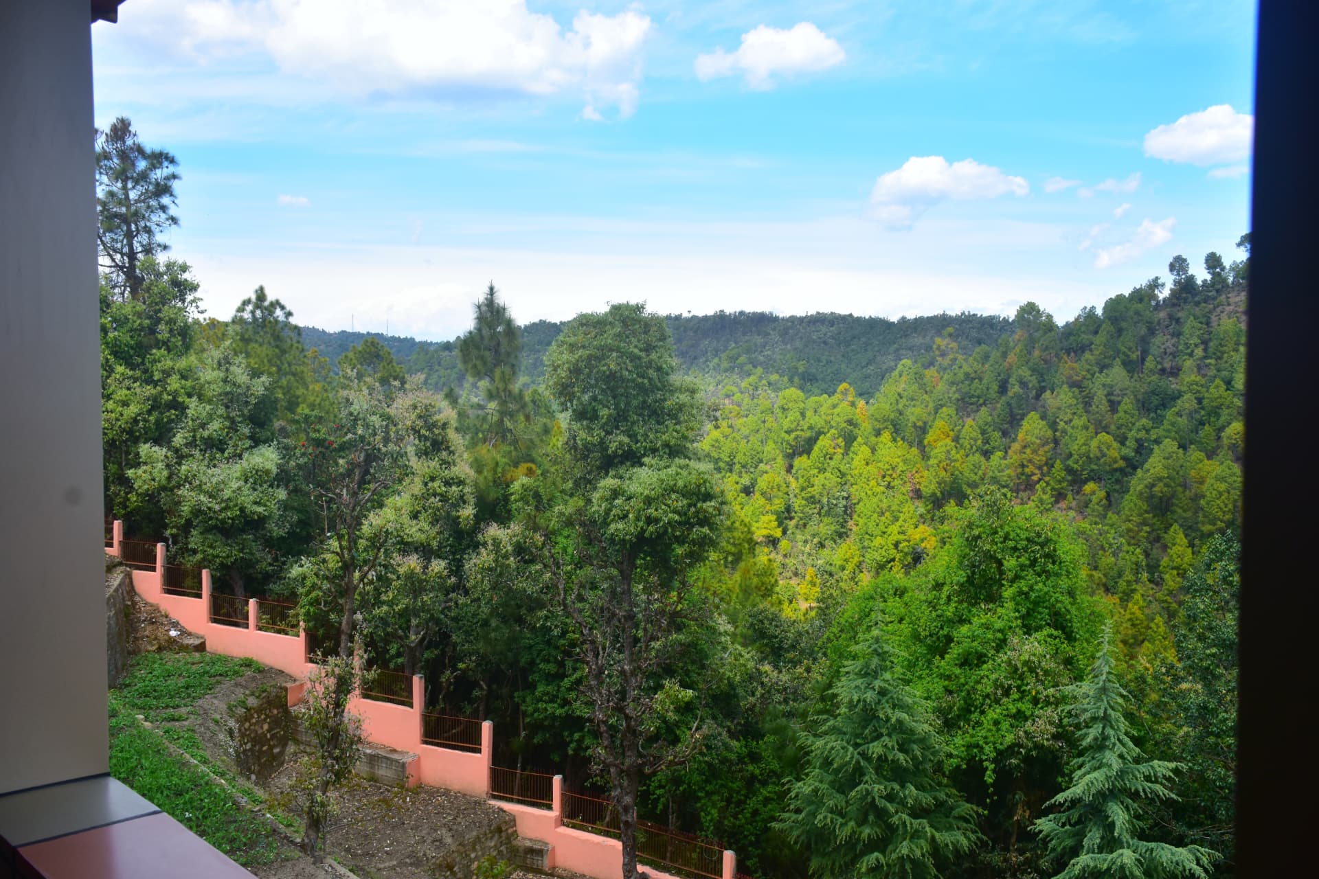 View from a residential room over the terraced boundary wall into dense deodar and pine forest